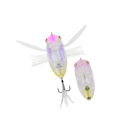 DUO REALIS DEKASHINMUSHI CCC3239