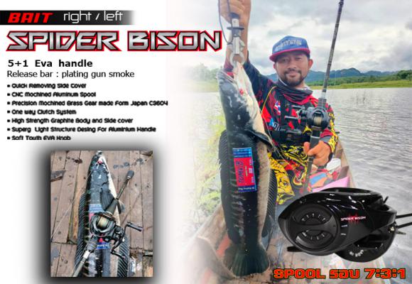 Black spider Bait 2021